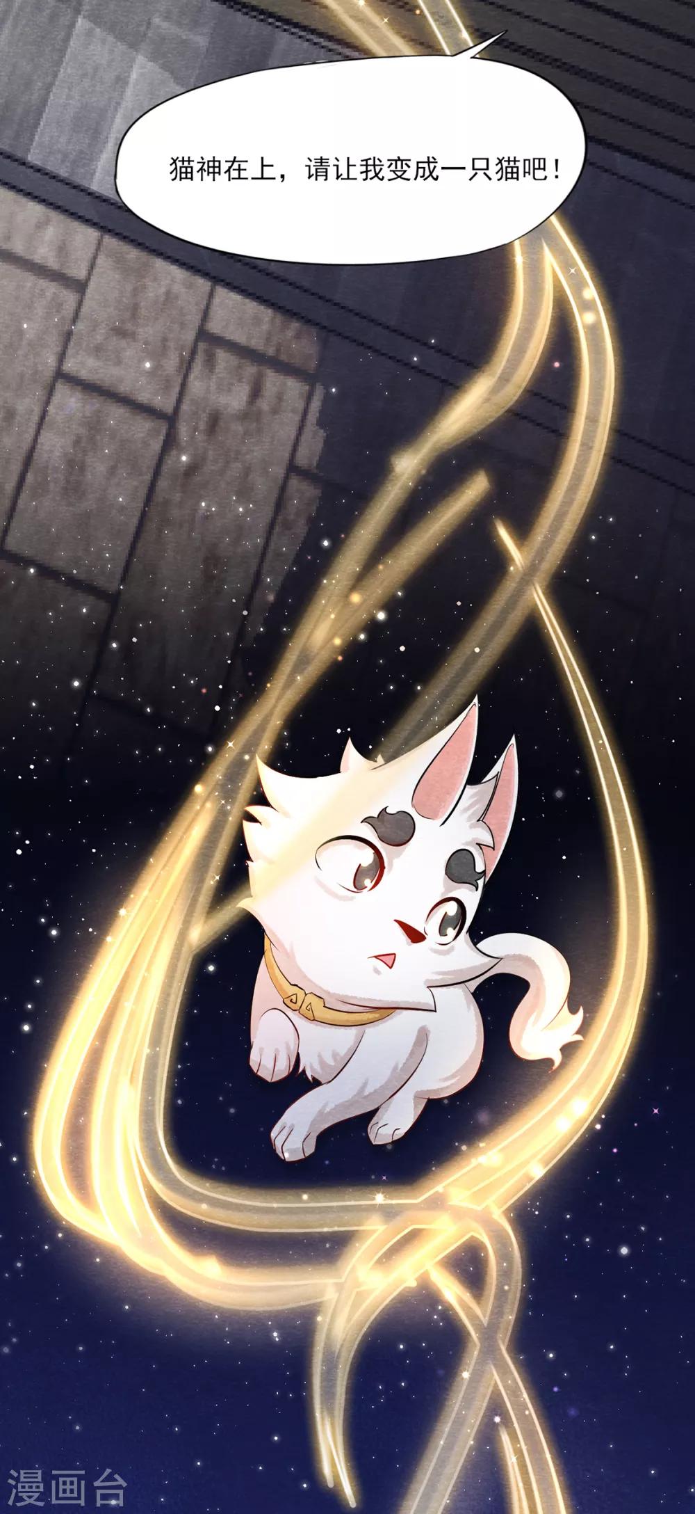 第3话 变变变！我是猫啦~6