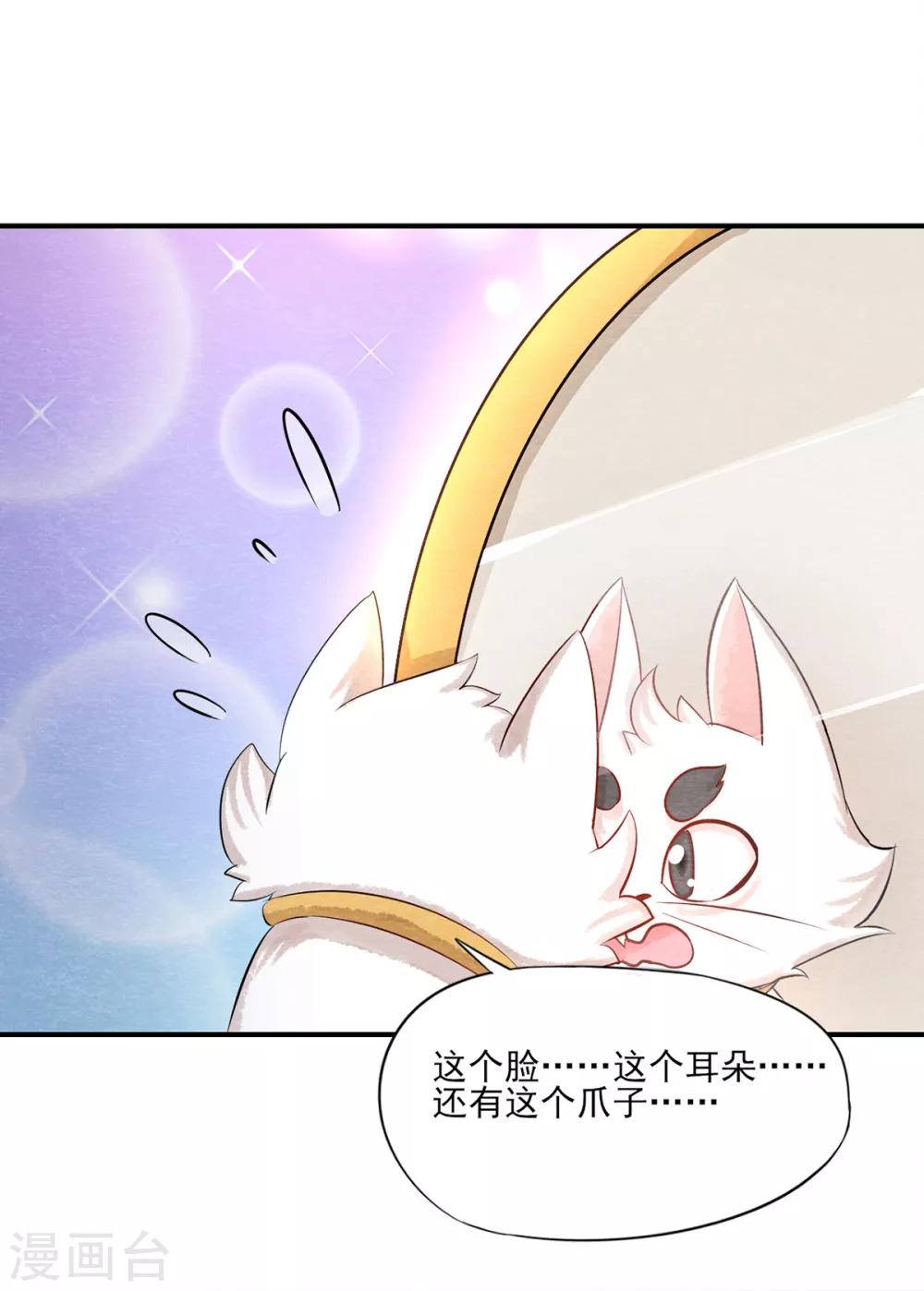 第3话 变变变！我是猫啦~12