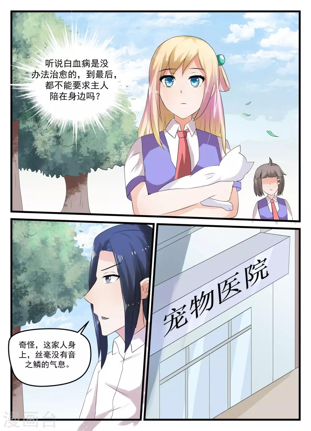 最终话7