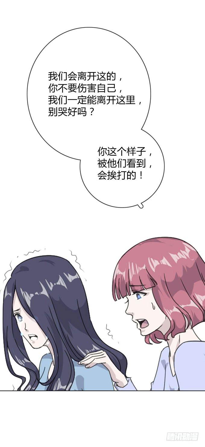 第一季：相遇28