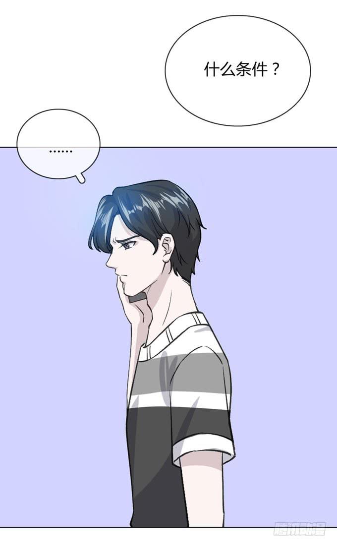 第一季：凤凰男12