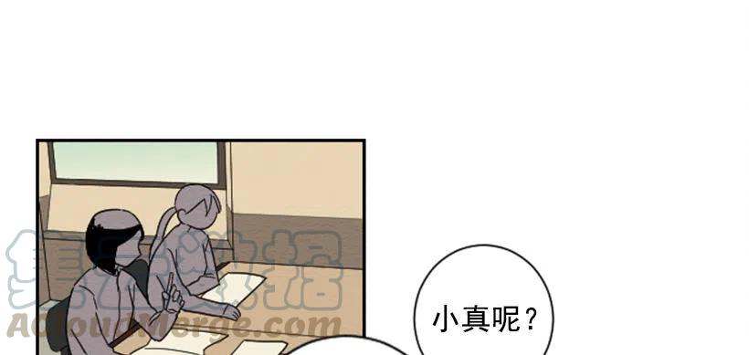 看望36