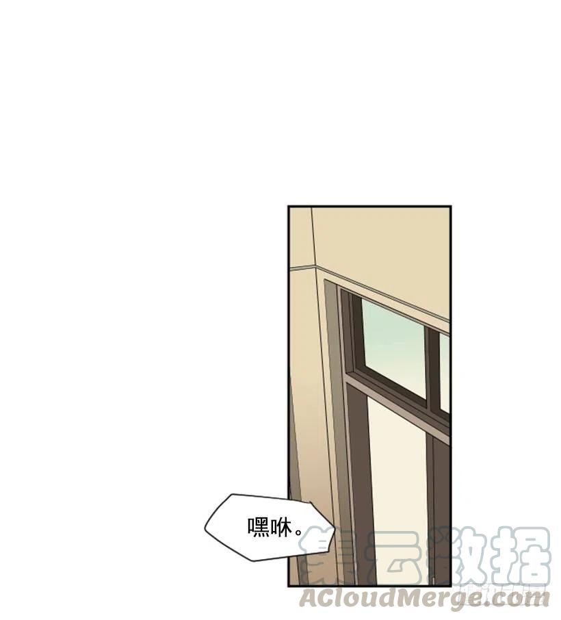 观察（3）42