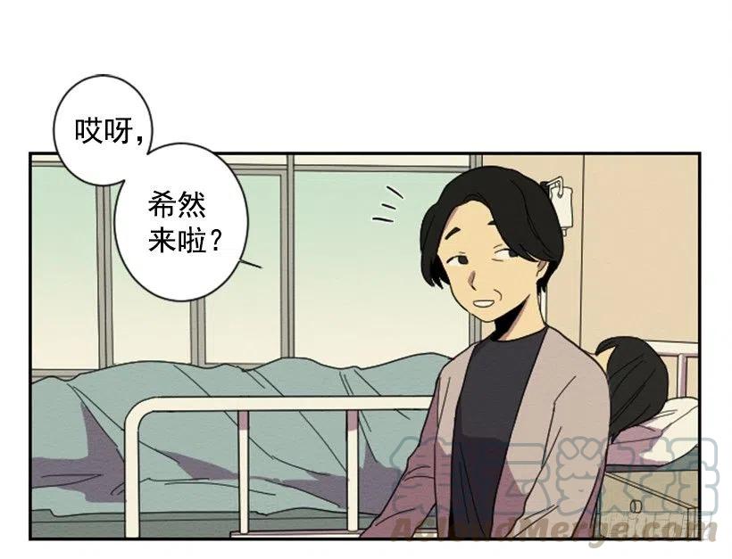 看望3