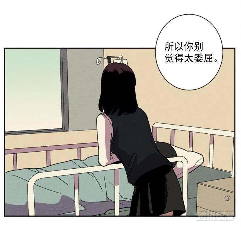 看望23