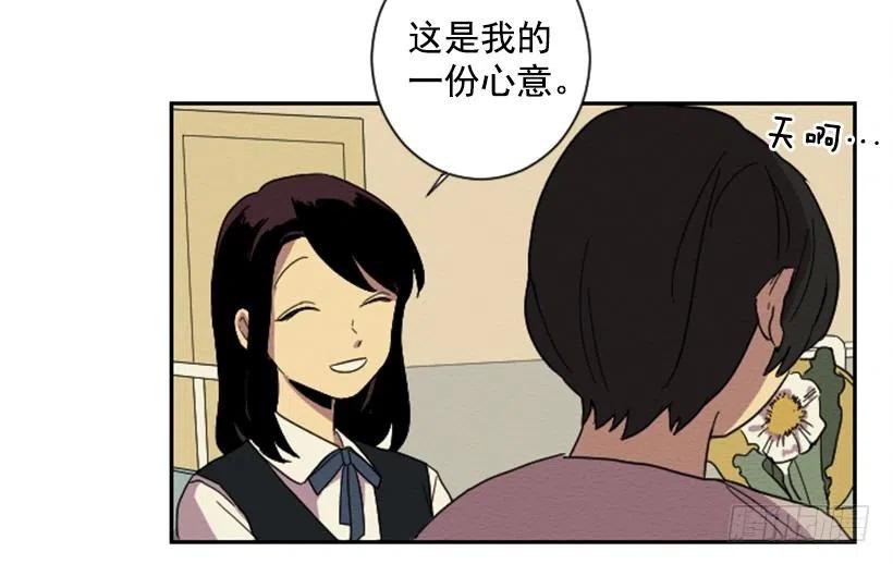 看望8