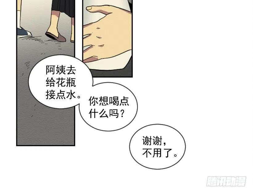 看望13