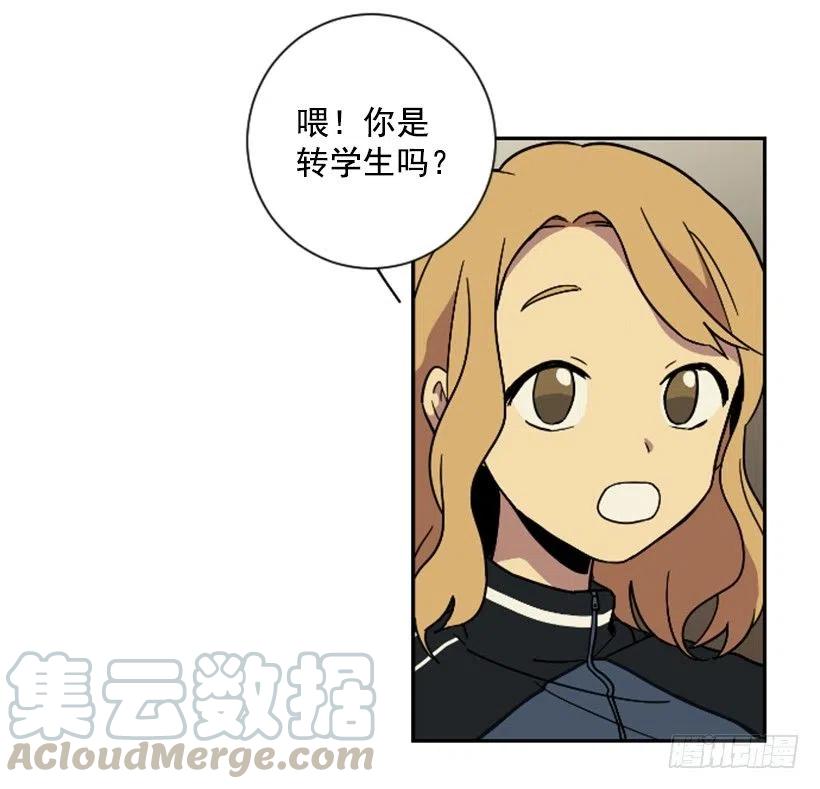 挑衅（1）15