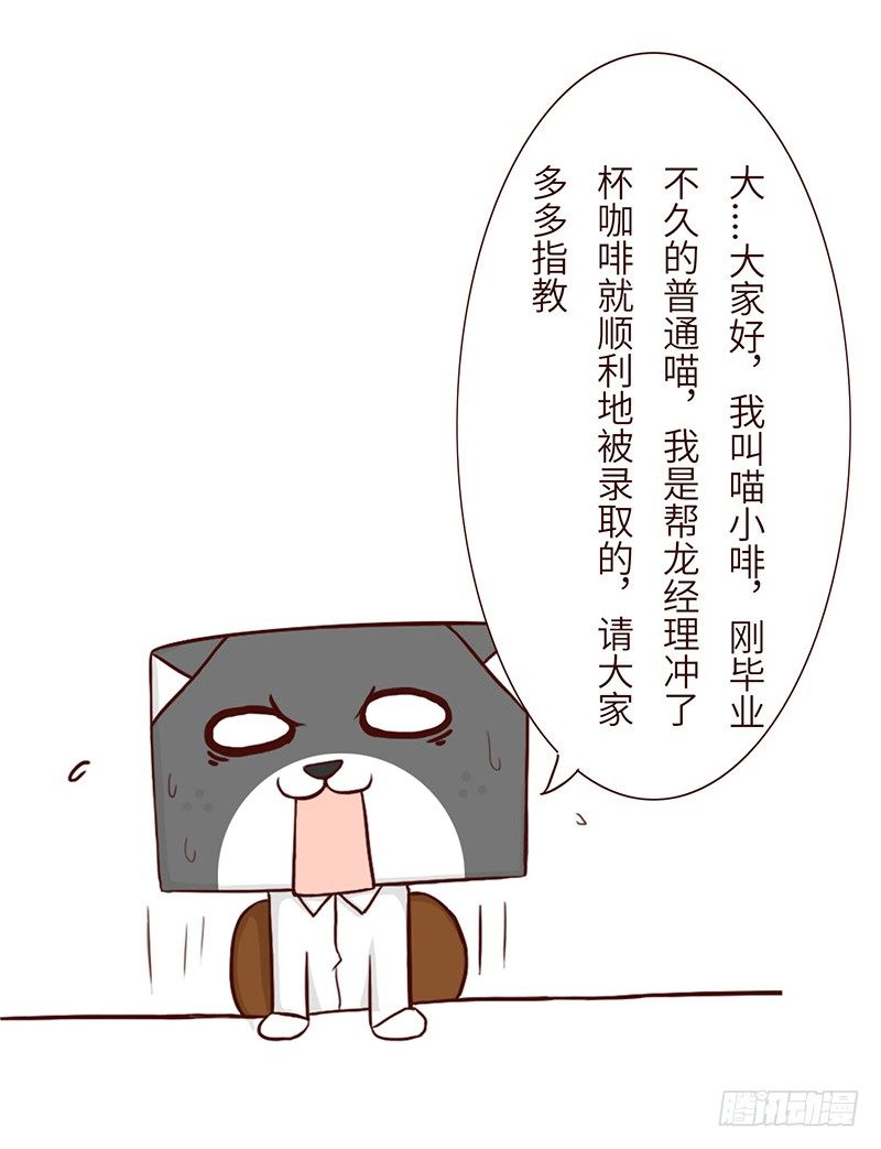 分配5