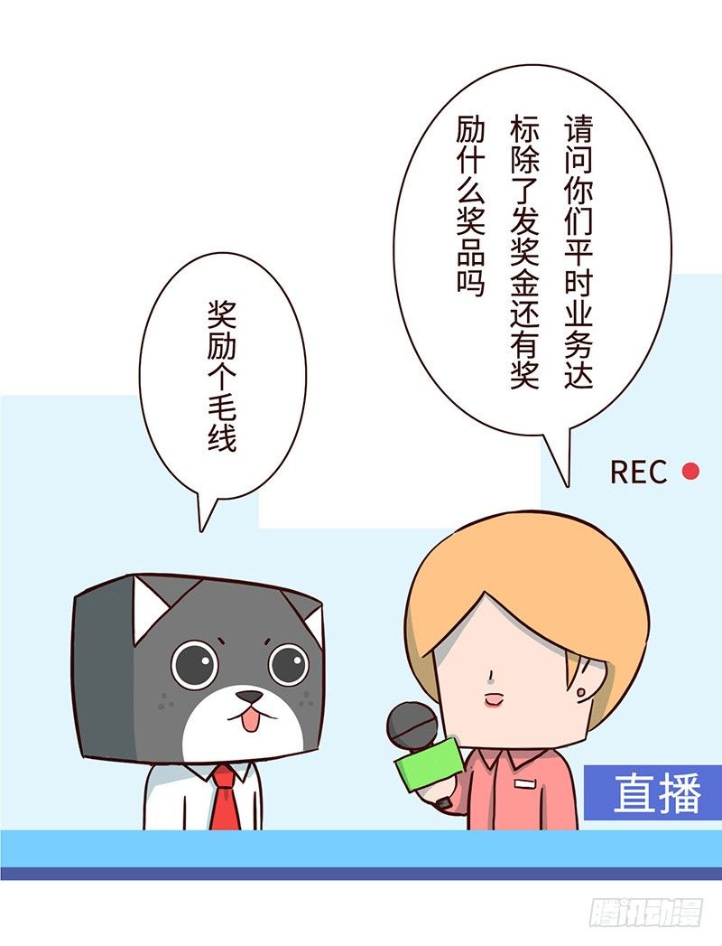 毛线3