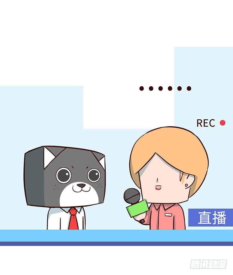 毛线4