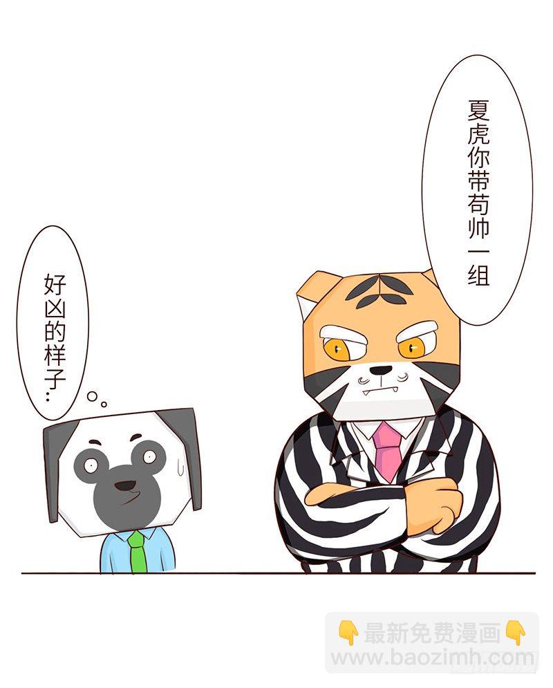 分配8