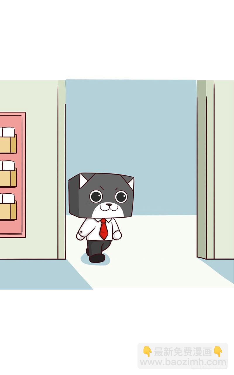 【喵大神】上2