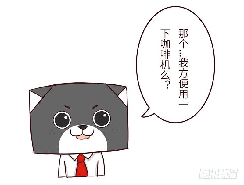 【喵大神】上6