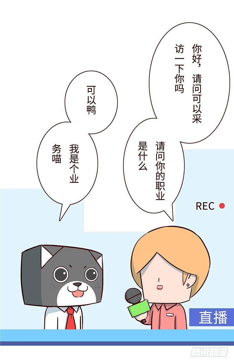 毛线2