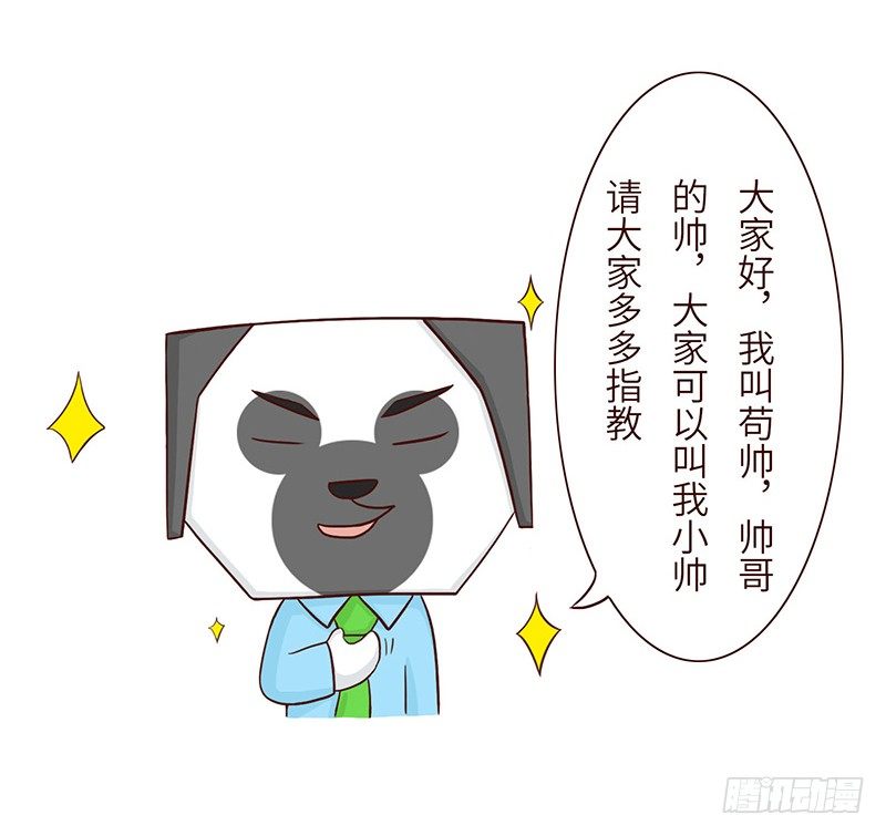 分配4