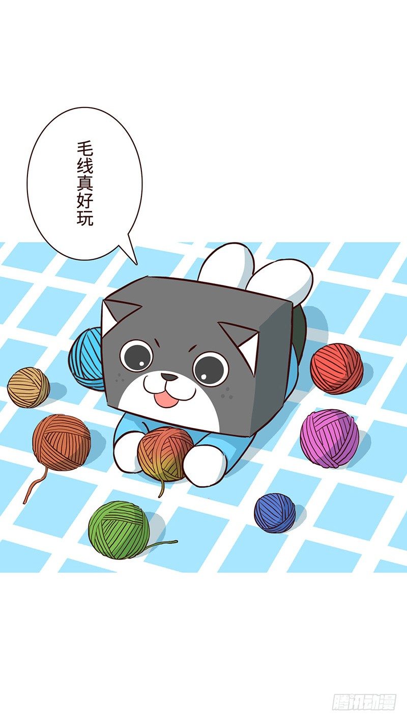 毛线6