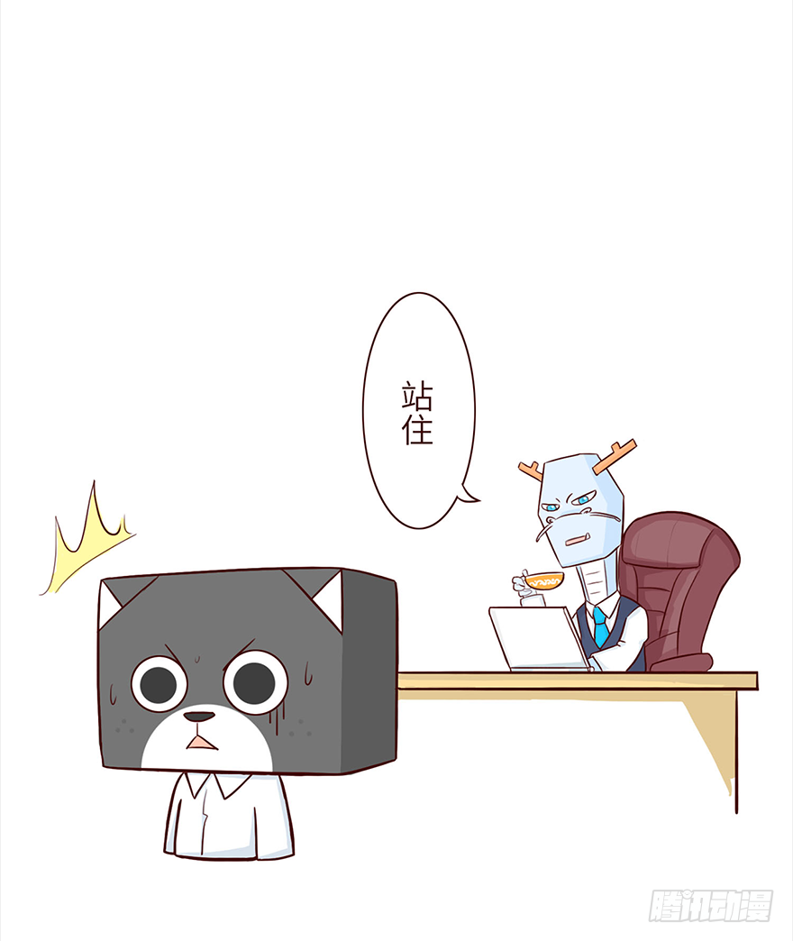 咖啡11