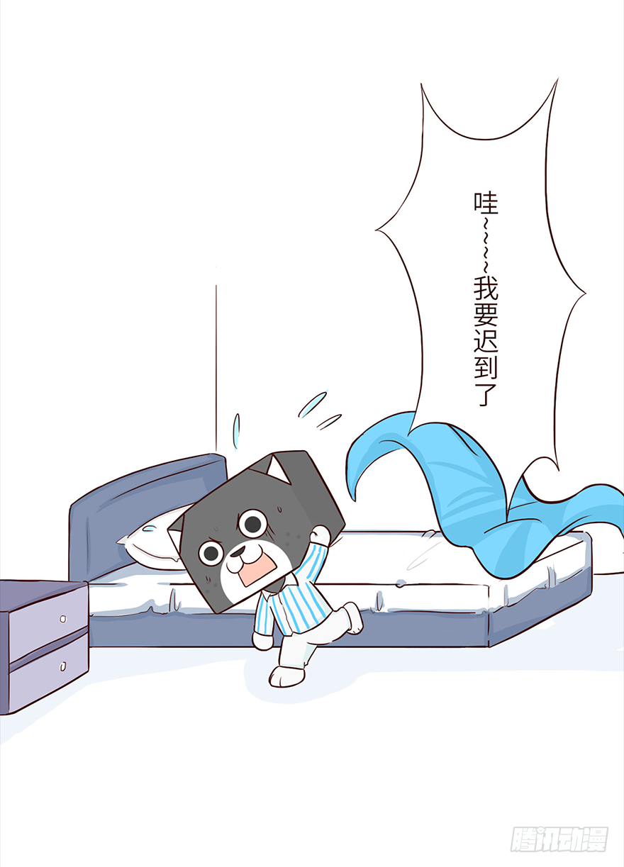 入职5