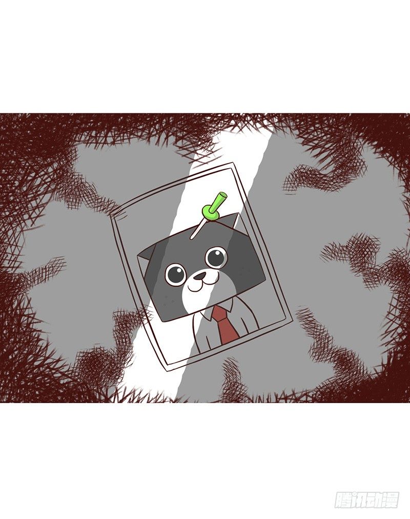 秘密6