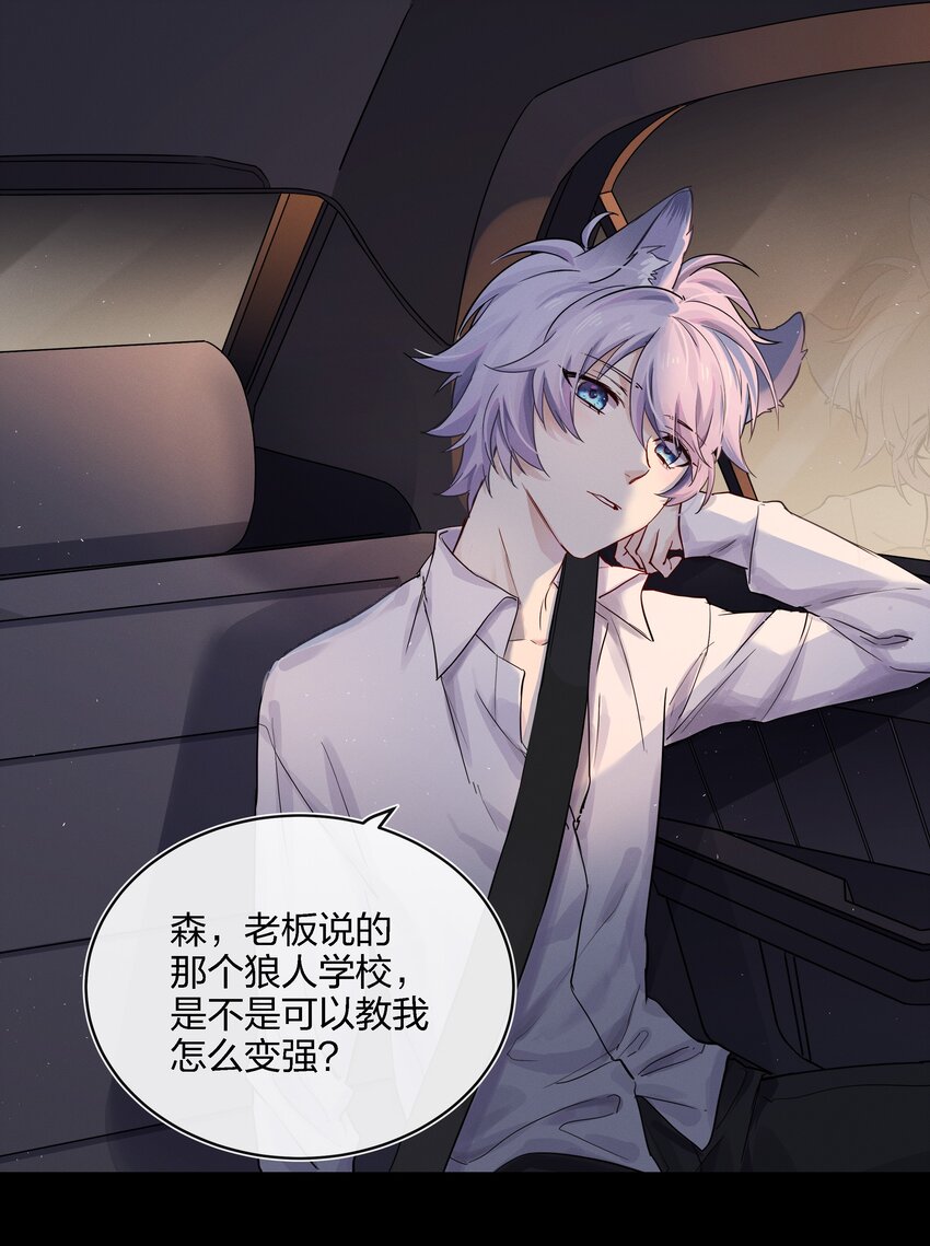 019 最喜欢的，是什么？31
