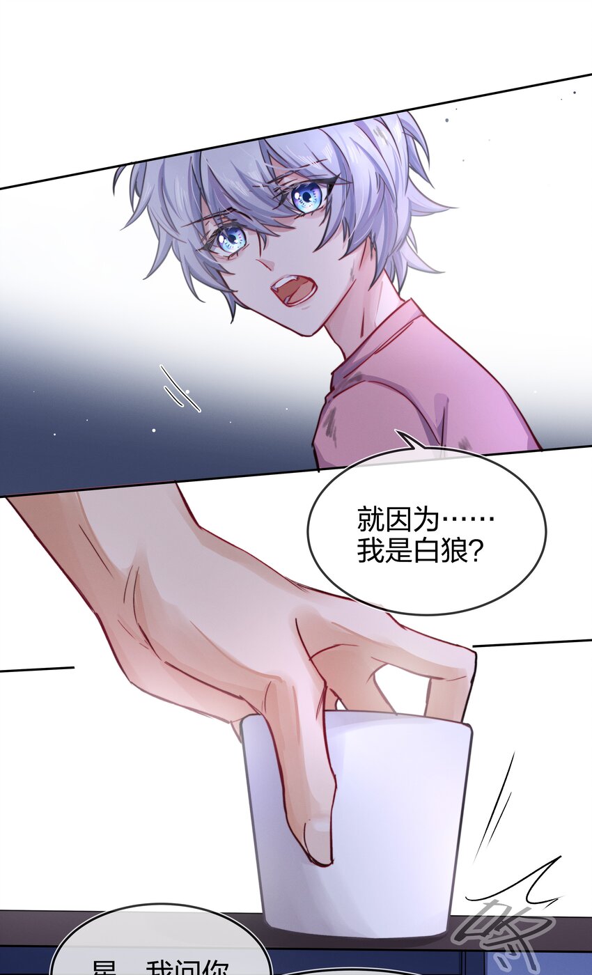 005 白狼传说29