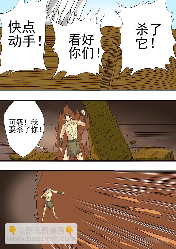15斗兽场10