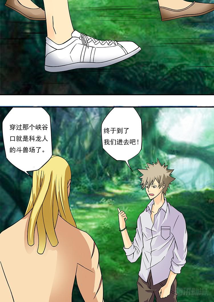 14科龙岛6