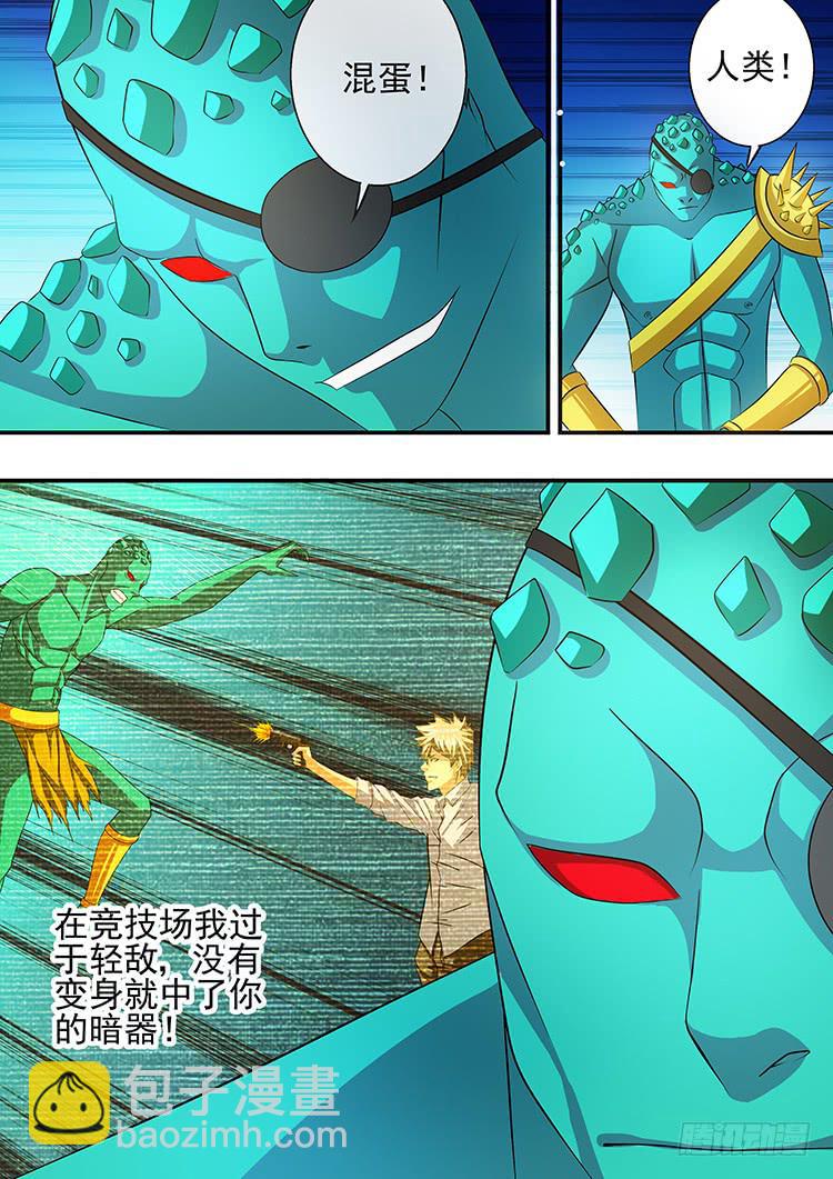 29科龙之子17