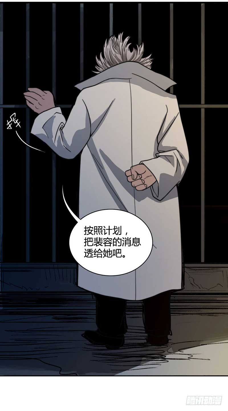 裴容是谁？14