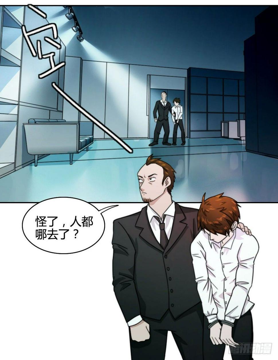 白鹤组织20