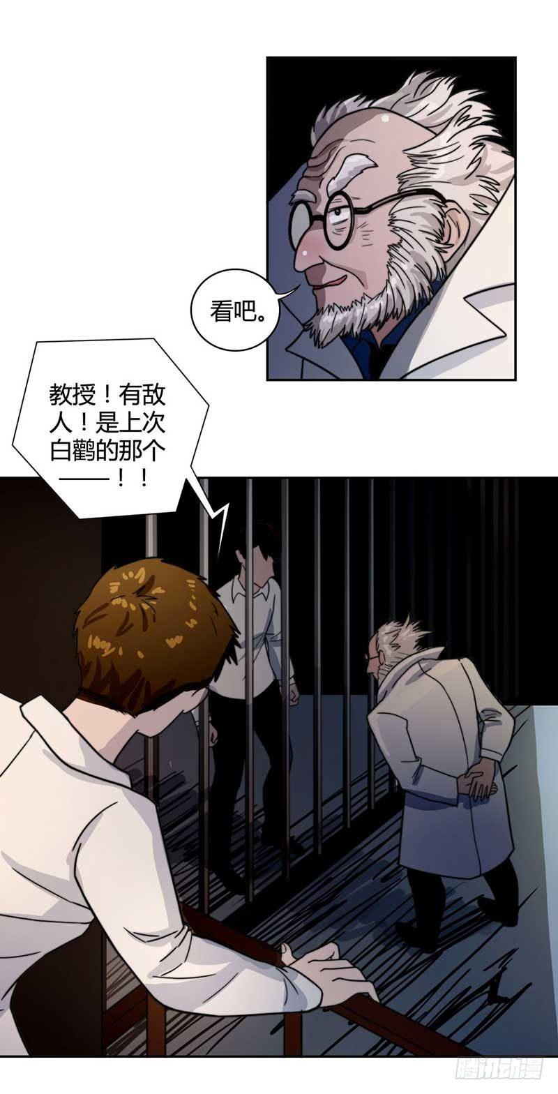 裴容，我找到你了7
