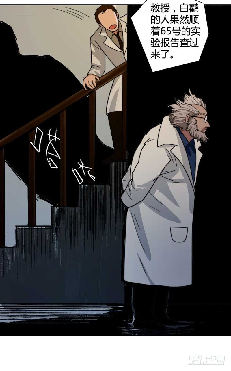 裴容是谁？13