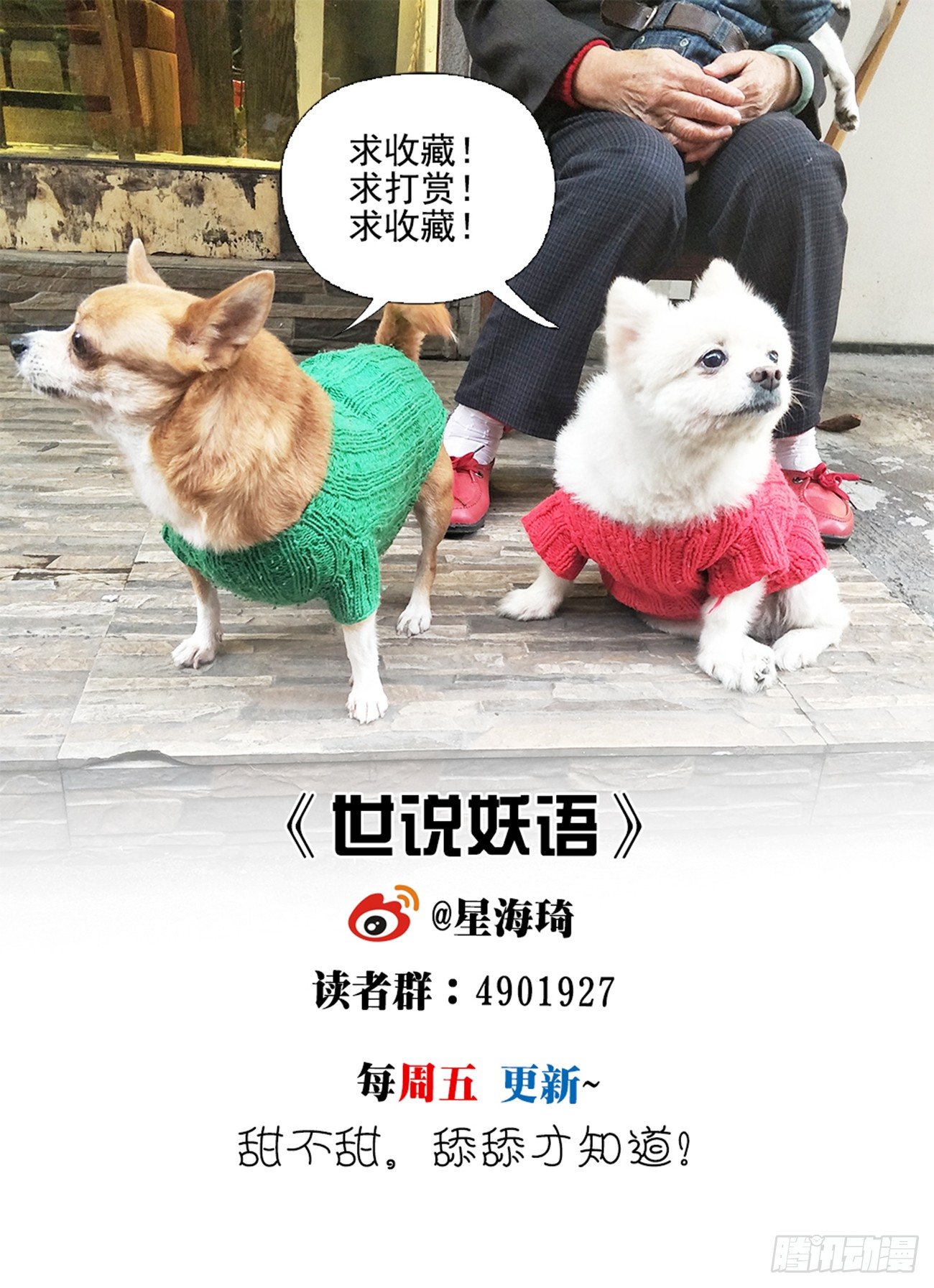 第五话 发现真龙12