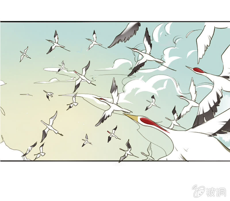 齐云比武1