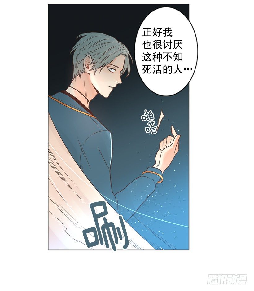 诱饵19