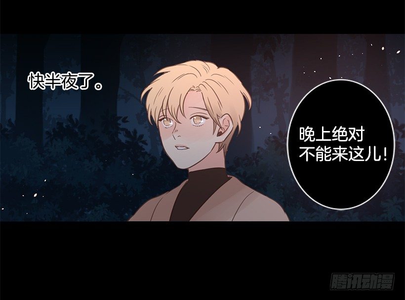 温暖的光11