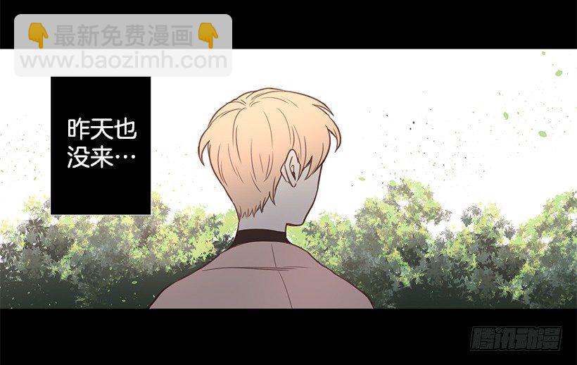 温暖的光3