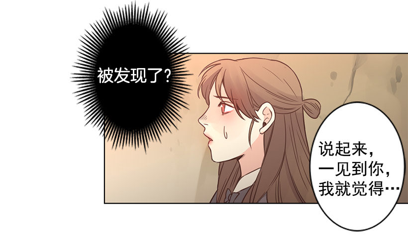 诱饵7