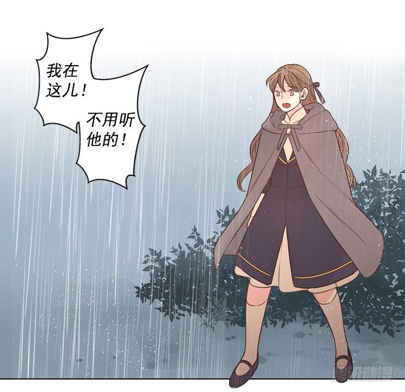 诱饵24