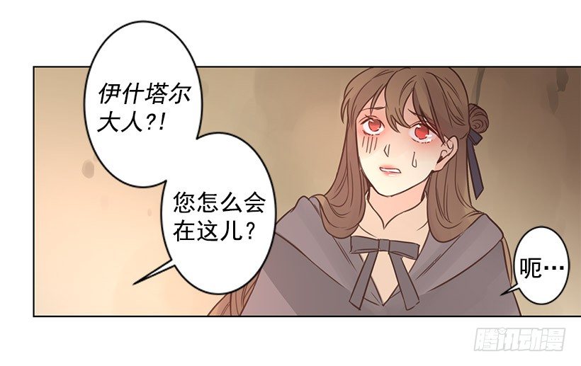 诱饵16