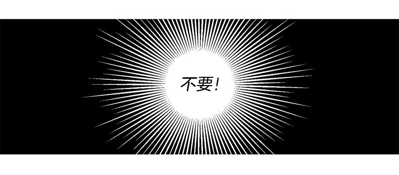 诱饵11