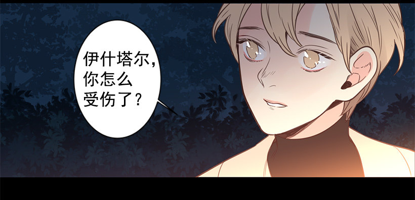 温暖的光31
