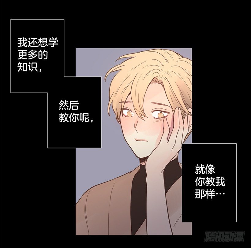 温暖的光4