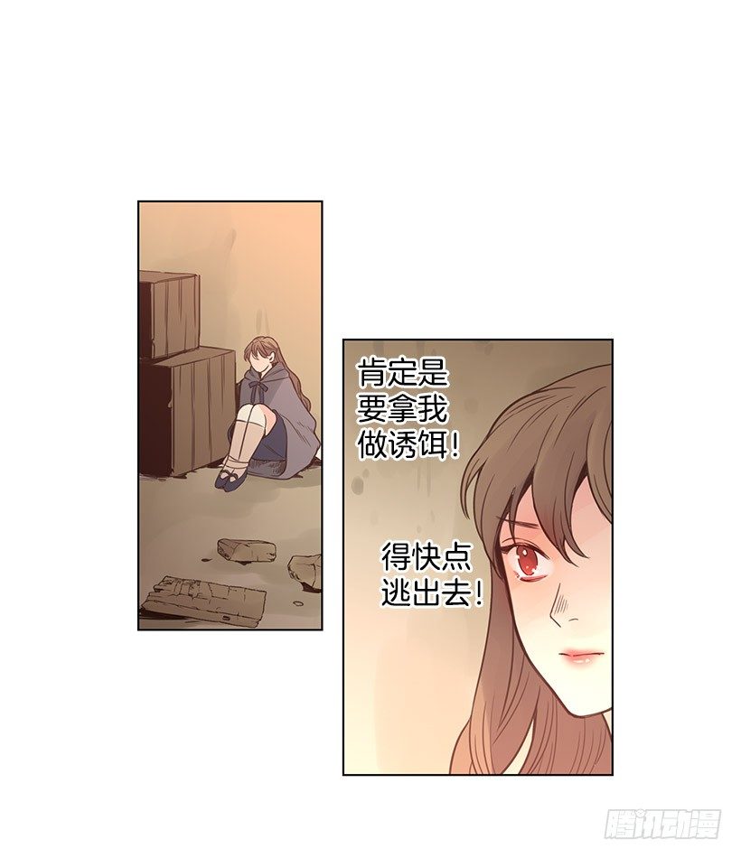 诱饵4