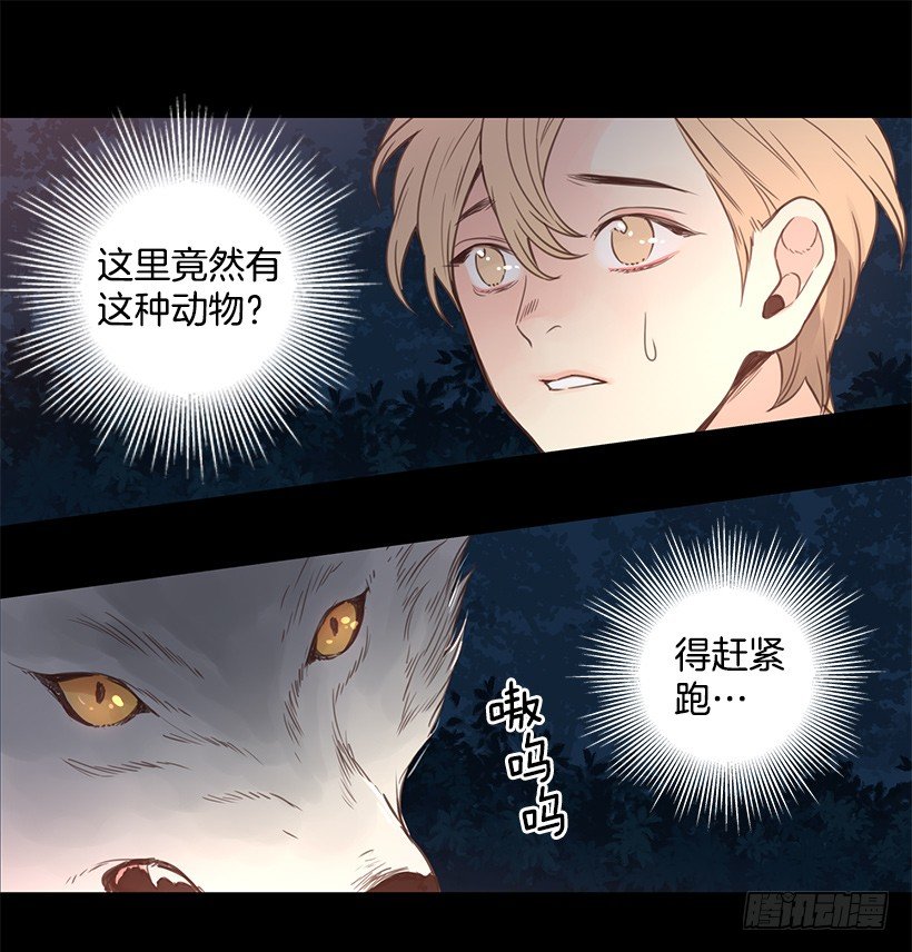 温暖的光19