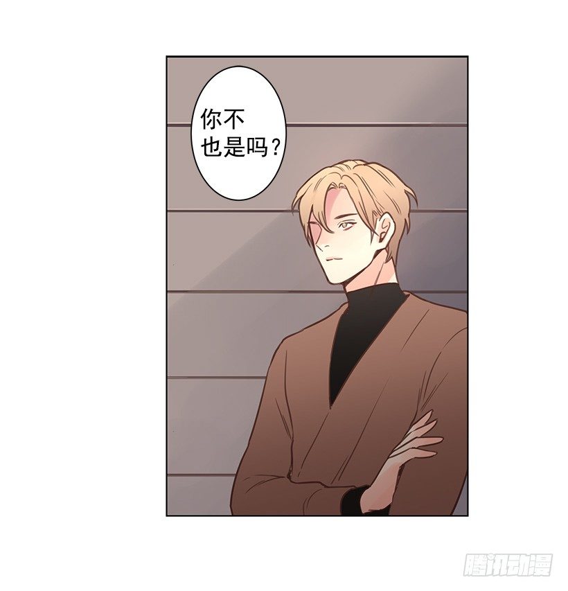 前世的恋人17