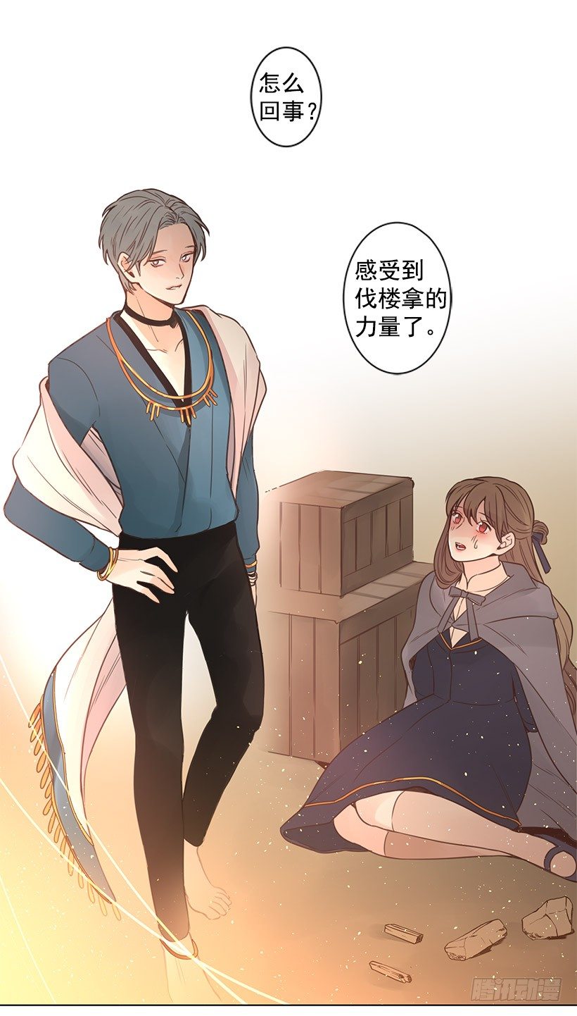诱饵14