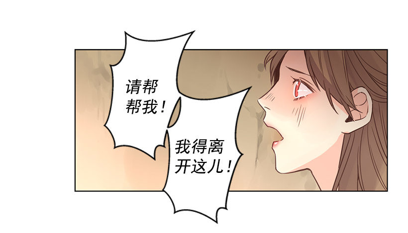 诱饵17