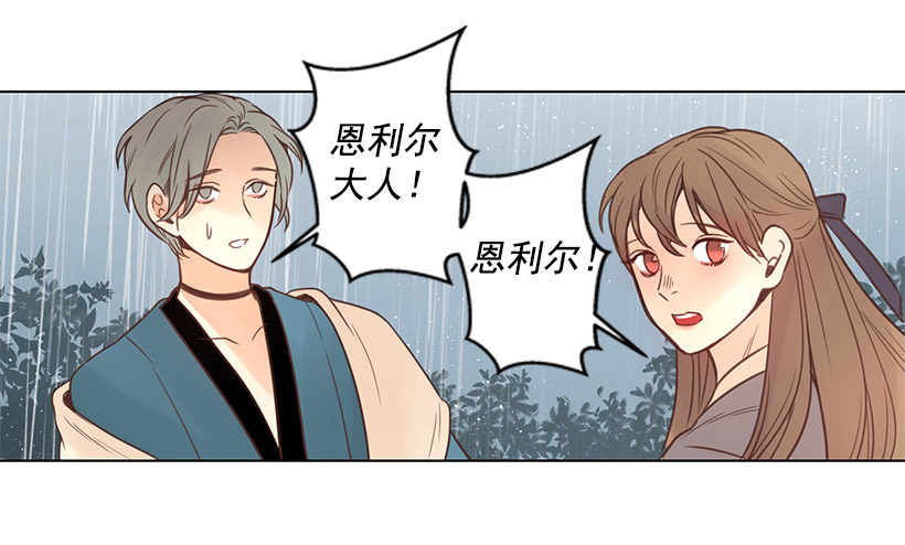 诱饵31